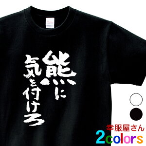 uFɋCv tVc ka500-42 FQ Fov ӊN qO} cLmO} F  jp I[V[Y  TVc  a Mtg v[g 100 zCg/ubN 