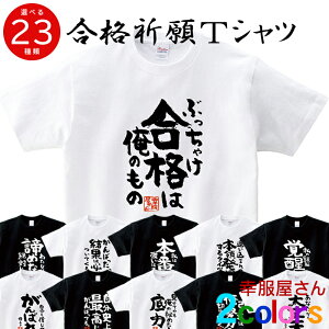 IׂfUC iF | ka500-43 w Z i׋ 󌱑΍ ΍ @E