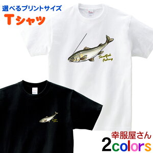  A Fނ TVc rf20 kނ tBbVO ނD ނl a ̓ hV̓ Mtg v[g jp I[V[Y 100 KOUFUKUYA K  