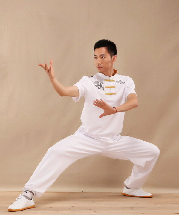5円 割引発見 太極拳 カッコイイ中国武術デザインｔシャツ 練習には武術