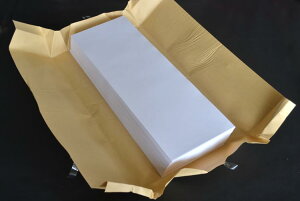 lCIoׁI򂪂`₷X߁IԕpKp 100 161mm×460mm