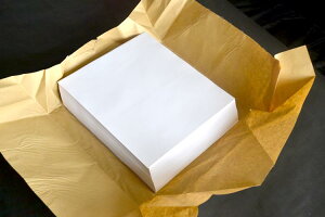 lCIoׁI򂪂`₷X߁IԕpKp 100 244mm×274mm