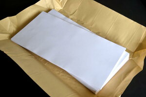 lCIoׁI򂪂`₷X߁IԕpKp 100 227mm×447mm