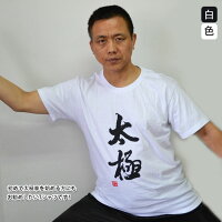 太極拳Tシャツ