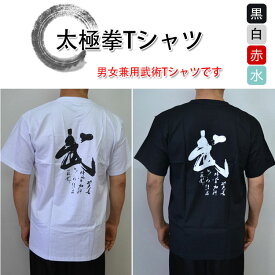 【メール便対応！】【太極拳】【武術Tシャツ】カッコイイ男女兼用中国武術デザインTシャツ！練習には動きやすいTシャツが一番！【武術Tシャツ・半袖】〜武〜