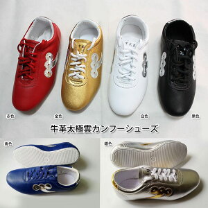 【太極拳】【カンフーシューズ】柔らかくすぐ足に馴染む!練習や演舞には欠かせないシューズ!青色牛革太極雲カンフーシューズ 24.0cm