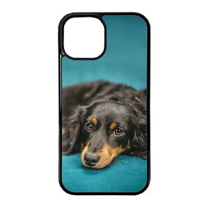 �X�}�z�P�[�X �w�ʃK���X iPhone 17 iPhone 17e SE ��3���� �o���p�[�P�[�X �����K���X MagSafe �}�O�l�b�g���� iPhone16e SE ��2���� �A�C�t�H�� �f�U�C�� �� �t�H�g A fun life with dogs2 ���ʍD�����h �`���� 