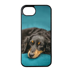 �X�}�z�P�[�X �w�ʃK���X iPhone 17 iPhone 17e SE ��3���� �o���p�[�P�[�X �����K���X MagSafe �}�O�l�b�g���� iPhone16e SE ��2���� �A�C�t�H�� �f�U�C�� �� �t�H�g A fun life with dogs2 ���ʍD�����h �`���� 
