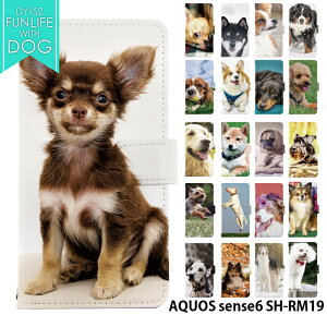 X}zP[X AQUOS sense6 SH-RM19 P[X 蒠^ ANIXZX6 Jo[ X}zP[X shrm19 fUC xgȂ  pO ` Ck  킢 ǂԂ  Aj} Xgbvz_[