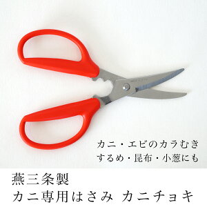 [݌ɂ] 쏊 Jj`L Jjp͂ Lb`oT~ oT~ { O