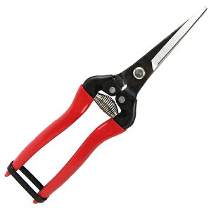 �A���X �E�����G�N�X�g�������O�^�C�v 300LL-BP