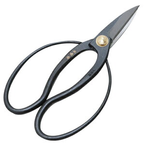 g  v 180MM