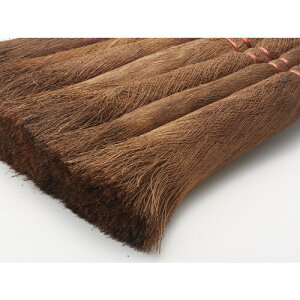 gXR TRUSCO ق (1{) iԁFTSB7L