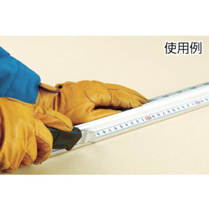 ^W} Jb^[KCh v1900 ڑڐt (1{) iԁFCTGSP1900