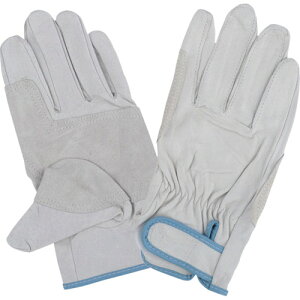 HO-KEN z[P Ǝ v |[NWC}WbNtwZ (1o) iԁF150-SH-LL