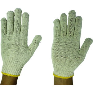 ӂ 100 { igN{[ȐFj (1Dz) iԁF100