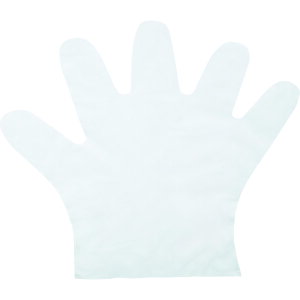 ӂ Ǝ ĝĎ 248 |G`fBX|iLDj L i100j (1) iԁF248-L