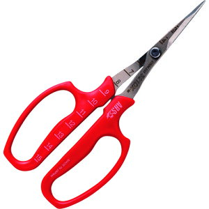 AX ARS ԂǂE \n uX^[pbN (1) iԁF321DX-M-BP