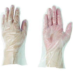 AY AS Ǝ ĝĎ Tjg܃GRm~[ X^_[hM (1) iԁF1-6163-02