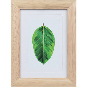 PR[ Kenko 1250172 ʐ^ S̖ i` PS-GM-NA (1) iԁFPS-GM-NA