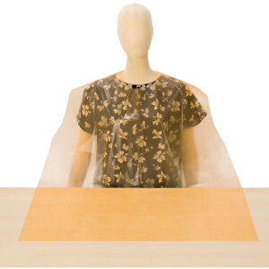 VK[ HGvg؂i50jIW (1) iԁFLPE0251NSOB