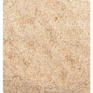 O[NX 100L (1S) iԁF6300033117