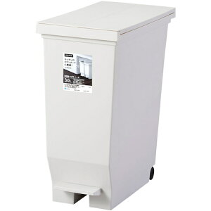 AXx ASVEL Go Jy_y[30L zCg (1) iԁF630392