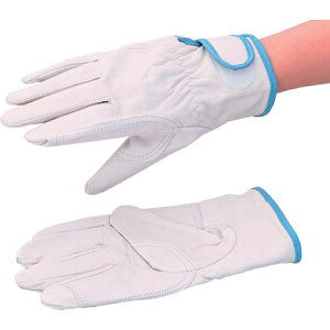 AY AS XL[^Cv 200YP L (1o) iԁF1-7245-02