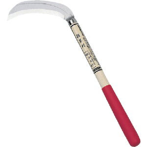 L{V  J}  芙 iipnEj (1) iԁF1645