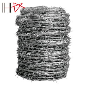 _Ch[ng jN LhS 16|100M (1) iԁF00055782