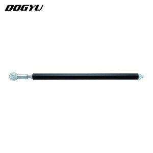 yY DOGYU XeŃJ{`  Őf_04 (1{) iԁF01069