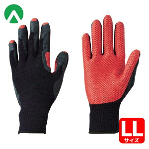 Ag Ǝ ׂ~ߎ S Ko[X 3og LL (1g) iԁF157-3P-LL