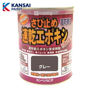 �J���y�n�s�I KANSAI �J���y �����G�|�L�V���ю~�� 0.8L �O���[ (1��) �i�ԁF00117645091008