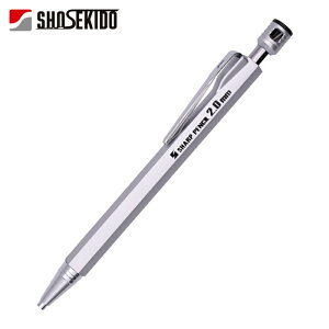 �ːד� ���� ���z�p�V���[�v�y���V��2.0 �{�� 2H (1�{) 100-2H