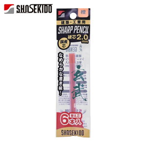 �ːד� ���� ���z�p�V���[�v�y���V��2.0�ւ��c6�{�� �� (1Pk) 100-D6