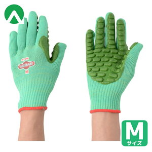 Ag Ǝ hU 񂰂񂭂 M (1o) iԁF1130-M