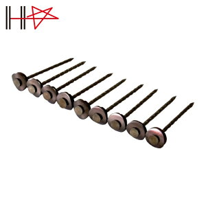 _Ch[ng gpB XeXAPBp[XN[ 12×75 uY 9{×25A (1) iԁF00028158