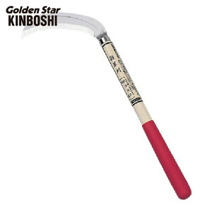 �L���{�V �� �J�} ���� �����芙 �i�i���p�n�E�����j (1��) �i�ԁF1645