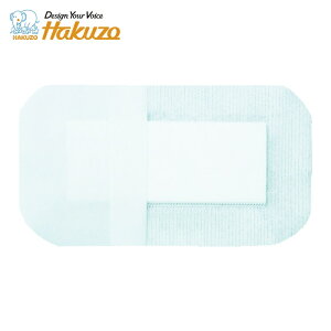 �n�N�]�E���f�B�J�� �J�n�p �G���o�����C�hDX No.100 100×160mm 30���� (1��) 3155004
