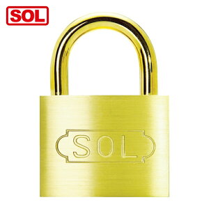SOL �\�[�� 2500SD-60 �V�����_�[������No.��60mm (1��)