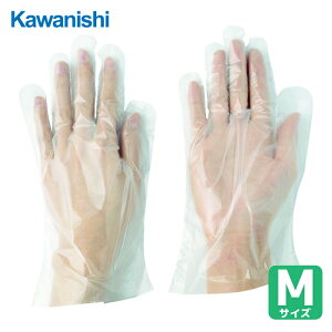 �쐼�H�� ��Ǝ�� �g���̂Ď�� �|���G�`������܃J�^�G���{�X �i1�܁i���j��100�����j (1��) �i�ԁF2016-M