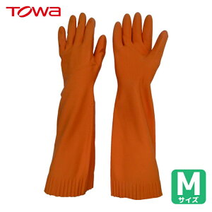 a g Ǝ VRS g[uVRS胍O IW M (1o) iԁF215-O-M