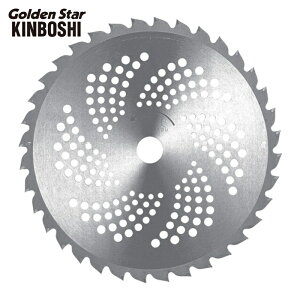 �L���{�V GS �S�[���f���X�^�[ ���� �Ζ����`�b�v�\�[255mm40���n (1��) �i�ԁF210421