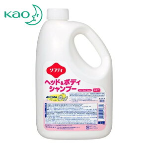 Kao ԉ Ɩp\teB wbh{fBVv[ A} 2L (1) iԁF507679