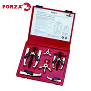 FORZA �t�H���c�@ 9300K �}�C�N���M���v�[���[�Z�b�g (1S)