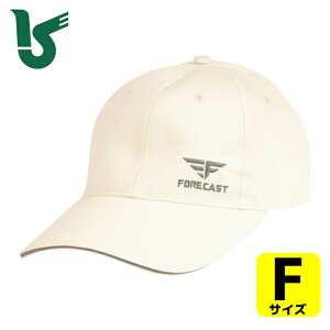 JWCN ƕ ƖX 6521 tH[LXgLbv2 ACXzCg t[ (1) iԁF6521-02-F