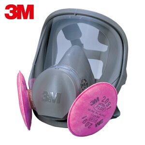 3M �X���[�G�� ��֎��h����}�X�N 6000F/2091-RL3 L�T�C�Y (1��) 6000F/2091-RL3L