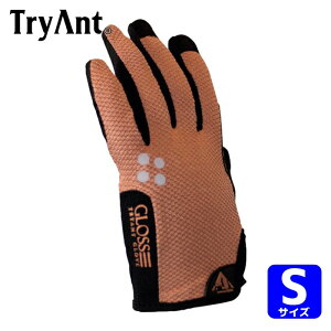 TryAnt �l�H��v��� 716 3D GLOSS PU �V�����p���S�[���h S (1�o) 716-CG-S