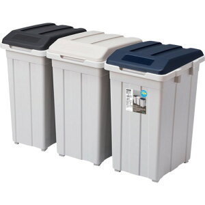 ASVEL AXx S~ WCg3Zbg (1) iԁF664489