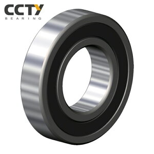 CCTY �[�a�ʎ���i�����S���ڐG�����V�[���^�C�v�j���֌a10×�O30 (1��) �i�ԁF6200 2RS